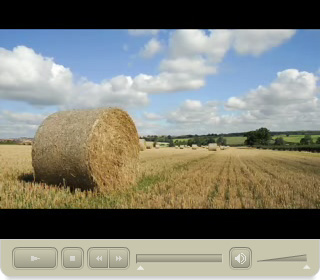 Click here to watch the EcoBatt Insulation - Bonded With Nature (5:59) segment in Macromedia Flash Format.